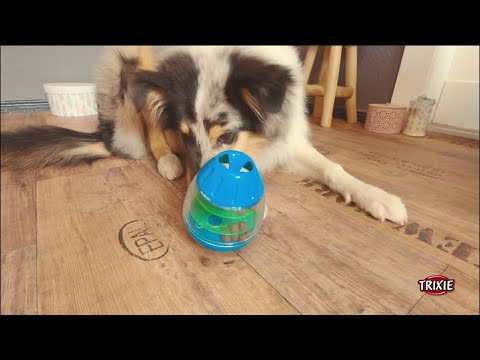 Trixie Dog Roly Poly Snack Egg