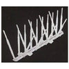 Bird Spike, Clear Plastic, 5-In. x 20-Ft.