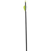 Archery Carbon Arrows, 31-In., Adult, 3-Ct.