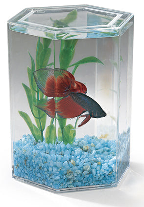 Lee's Aquarium & Pet Products Betta Keeper®