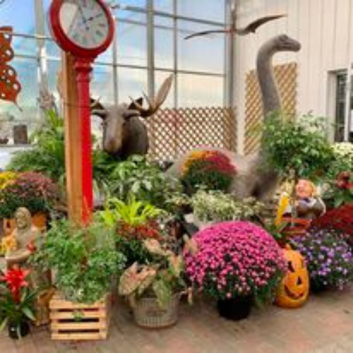 Flower and plant selection inside of planter containers