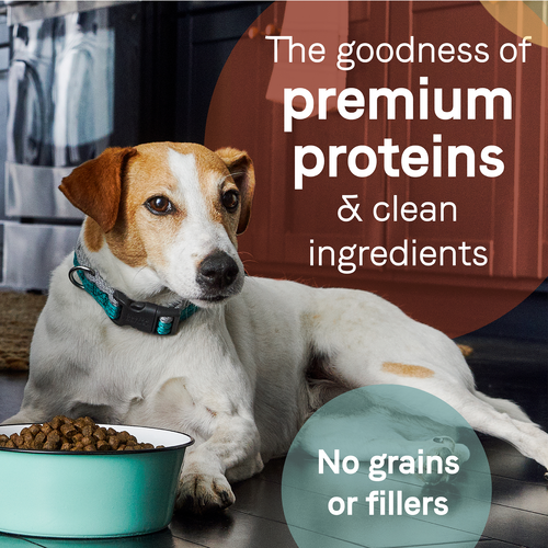 Canidae PURE Grain Free, Limited Ingredient Healthy Weight Dry Dog Food, Chicken and Pea (24-lb)
