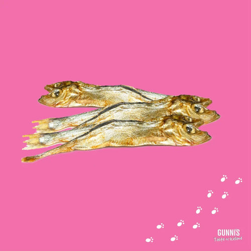 Gunni's Whole Herring Dog Treats