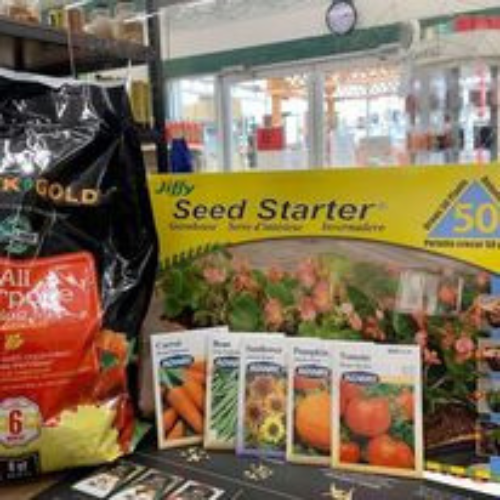 Garden and plant seeds