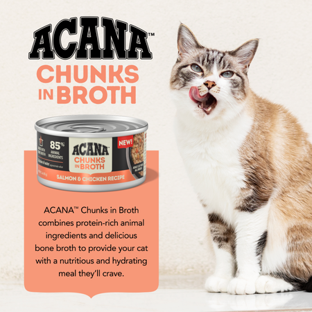 ACANA Chunks in Broth Salmon & Chicken Recipe Wet Cat Food