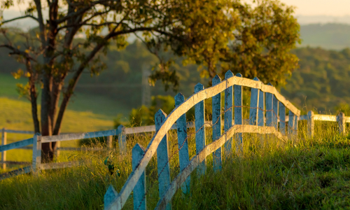 Farm fence in a pasture at sunset
