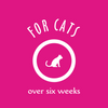 Earthbath Hypoallergenic Cat Grooming Foam (4 OZ)