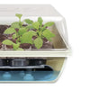 Jiffy Self-Watering Seed Starting Kit 34 Cell 36mm Peat Pellets