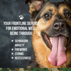 Operation Good Boy SRE: Calming for Dogs
