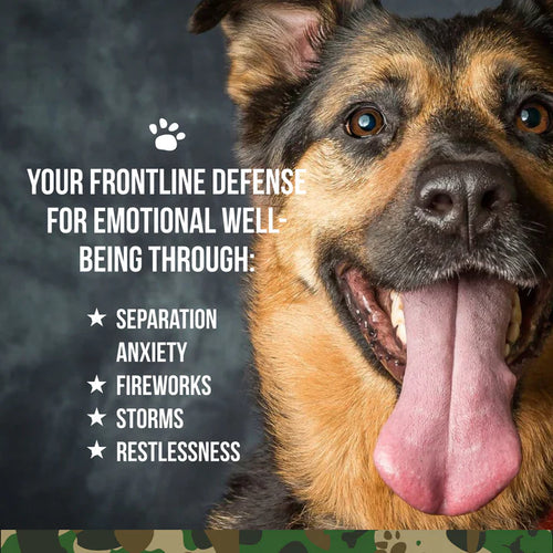 Operation Good Boy SRE: Calming for Dogs