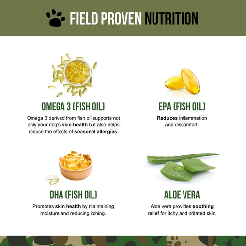 Operation Good Boy SRE: Skin Health & Seasonal Allergies for Dogs