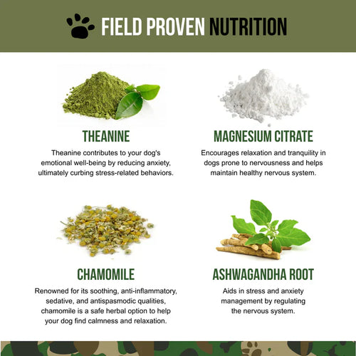 Operation Good Boy SRE: Calming for Dogs