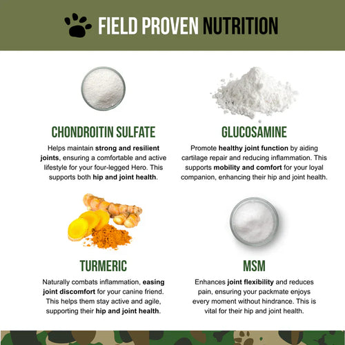 Operation Good Boy SRE: Hip & Joint for Dogs