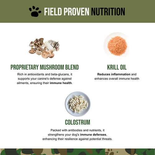 Operation Good Boy SRE: Immune Support for Dogs