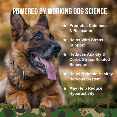 Operation Good Boy SRE: Calming for Dogs