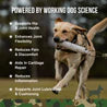 Operation Good Boy SRE: Hip & Joint for Dogs