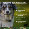 Operation Good Boy SRE: Multi-Function Support for Dogs