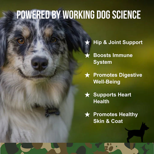 Operation Good Boy SRE: Multi-Function Support for Dogs