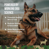 Operation Good Boy SRE: Skin Health & Seasonal Allergies for Dogs