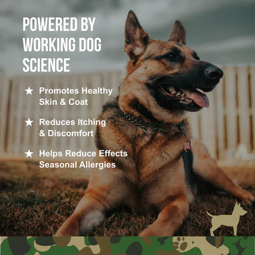 Operation Good Boy SRE: Skin Health & Seasonal Allergies for Dogs