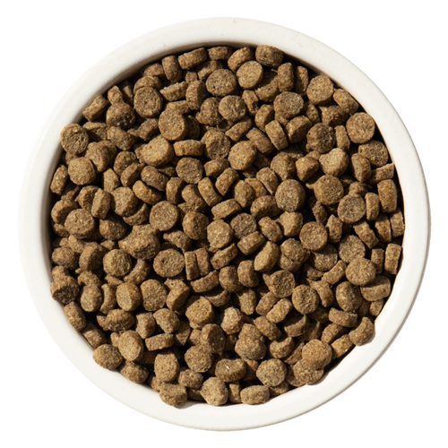 Bixbi Rawbble® Dry Food for Cats – Salmon Recipe