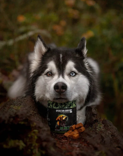 Operation Good Boy SRE: Hip & Joint for Dogs