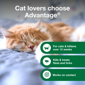 Advantage Cat Flea & Tick Shampoo for Kittens & Adult Cats (8-oz Bottle)