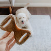 Benebone Bacon Dental Chew