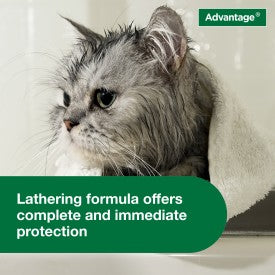 Advantage Cat Flea & Tick Shampoo for Kittens & Adult Cats (8-oz Bottle)