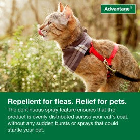 Advantage Cat Flea Treatment Spray (8-oz)