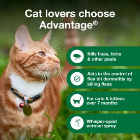 Advantage Cat Flea Treatment Spray (8-oz)