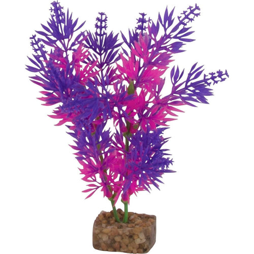 GLOFISH CYCLE LIGHT PLANT