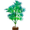 GLOFISH PLANT