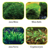 Aqueon Plant & Shrimp Aquarium Substrate, 5 Lbs