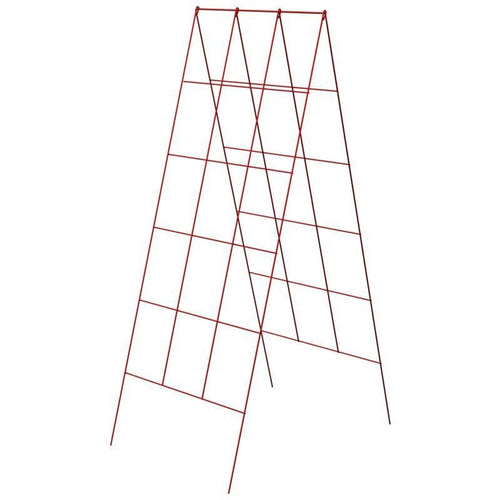 A Frame Trellis