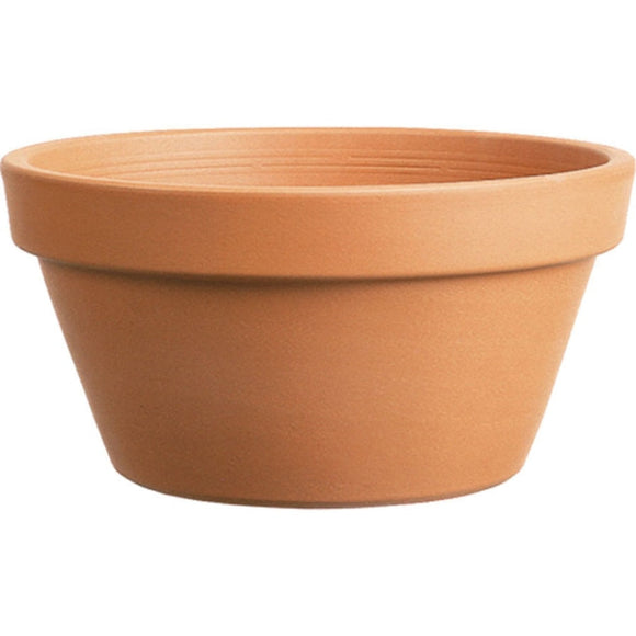 AZALEA CLAY POT