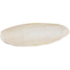 Prevue Pet Products LARGE CUTTLEBONE BULK BOX