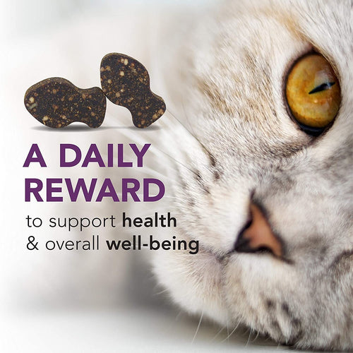 VetriScience Vetri-Lysine Plus Immune Health Bite-Sized Cat Chews