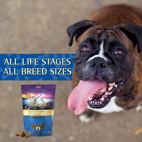 Zignature Trout Soft Moist Treats for Dogs