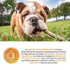 Solid Gold Mighty Mini Grain Free Toy and Small Breed Recipe with Lamb, Sweet Potato & Cranberry Wet Dog Food Tray