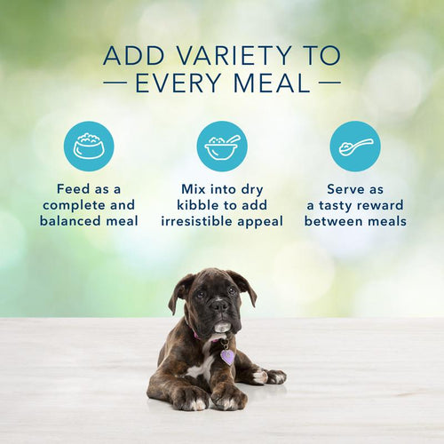 Blue Buffalo Freedom Grain Free Chicken Recipe Puppy Canned Dog Food