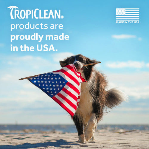 TropiClean Pure Plum High Concentrate Shampoo for Pets