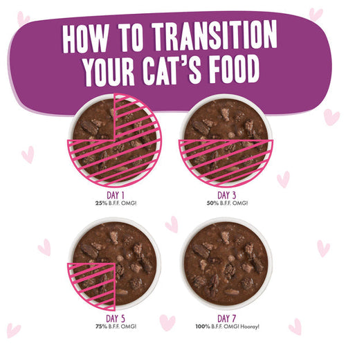 Weruva B.F.F. OMG GRAVY! Tuna & Beef Belly Rubs Dinner in Gravy