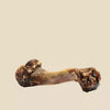 ROAM® Bucky Funny Bone™ Dog Treat