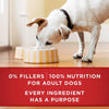 Purina ONE Plus Healthy Weight Tender Cuts In Gravy Lamb & Brown Rice Entrée Wet Dog Food