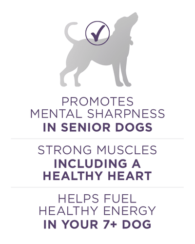 Purina ONE Plus Vibrant Maturity Adult 7+ Formula Dry Dog Food