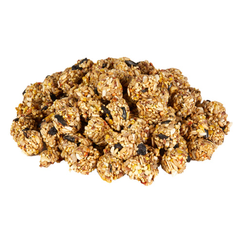 Kaytee Granola Bites with Superfoods Blueberry & Flax Bird Treats