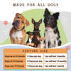 Natural Dog Company Super-Flora Probiotic Supplement