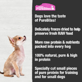 PureBites Salmon Mini-PureBites Dog Treat