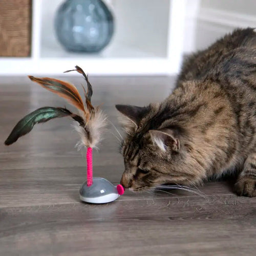 SmartyKat Instincts Runaway Rascal™ Electronic Motion Cat Toy